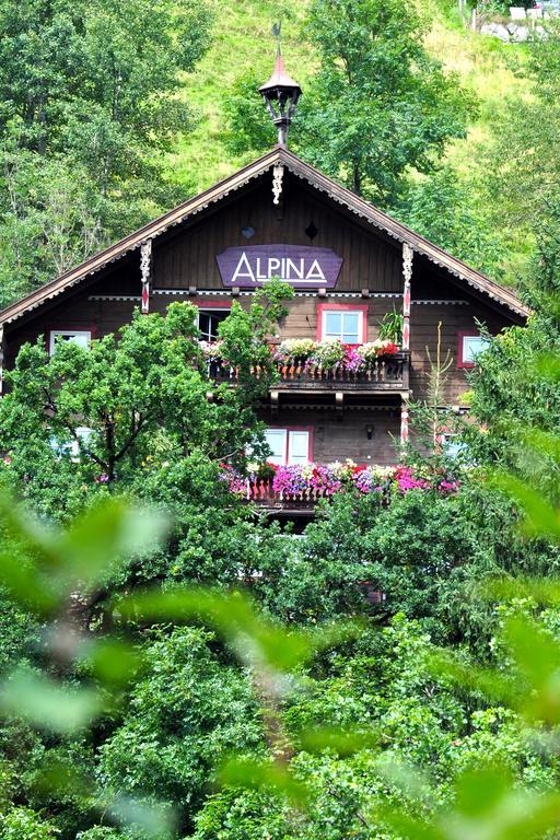 Landhaus Alpina Pensjonat Mittersill Zewnętrze zdjęcie
