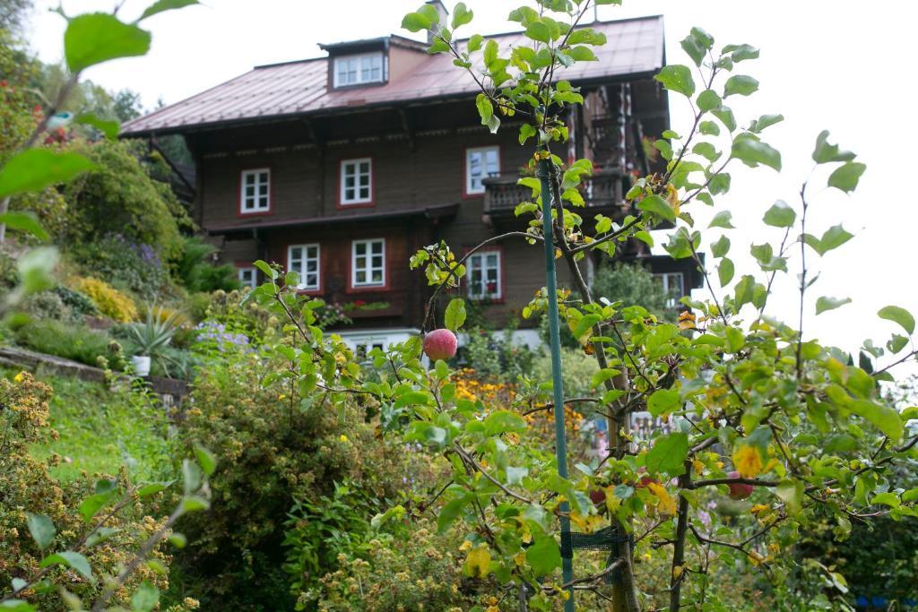 Landhaus Alpina Pensjonat Mittersill Zewnętrze zdjęcie